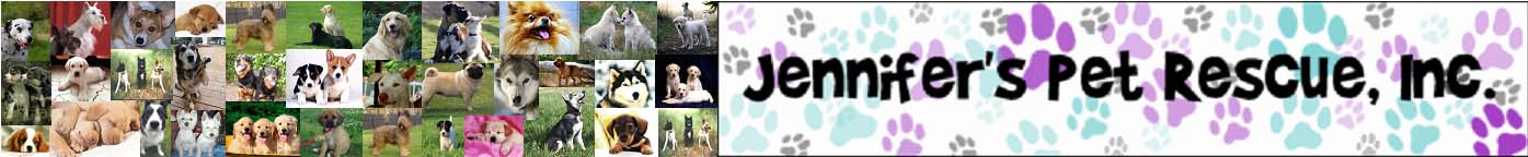 CanineBanner