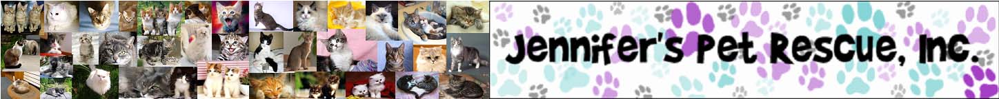 FelineBanner